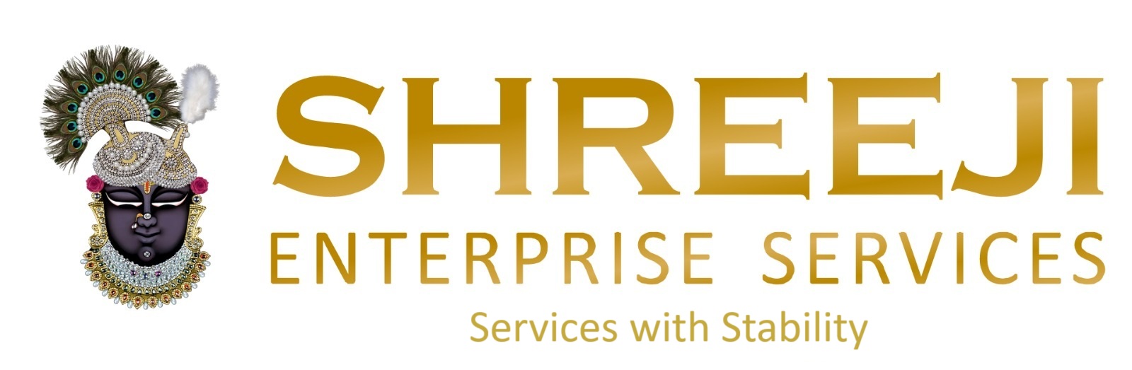 Shreeji Enterprise Services Logo